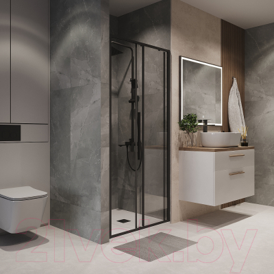 Душевая дверь Niagara NG-84-11AB 110x195