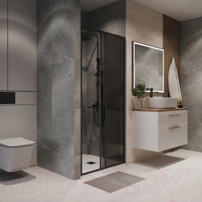 Душевая дверь Niagara NG-85-9TB 90x195