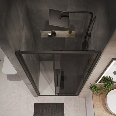 Душевая дверь Niagara NG-85-13TB 130x195