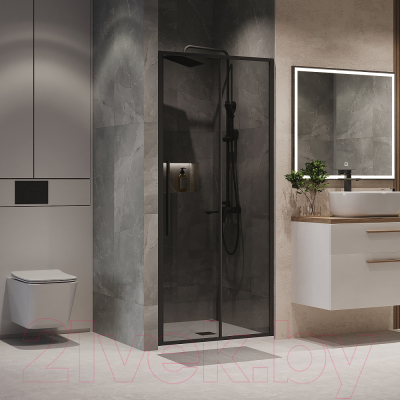 Душевая дверь Niagara NG-85-13TB 130x195