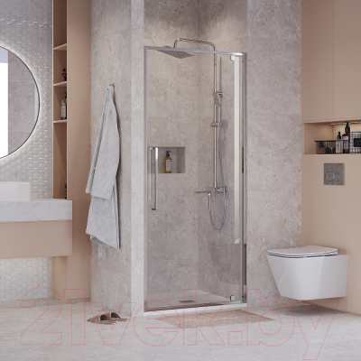 Душевая дверь Niagara NG-66-8A 80x195