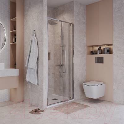 Душевая дверь Niagara NG-66-9A 90x195