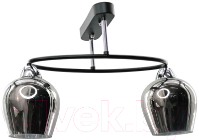 Потолочный светильник Aitin-Pro НПБ 02-2x60-101 / 8064/2 - фото