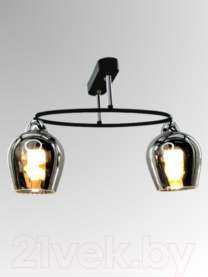 Потолочный светильник Aitin-Pro НПБ 02-2x60-101 / 8064/2