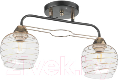 Потолочный светильник Aitin-Pro НПБ 02-2х60-101 / 6004/2 - фото