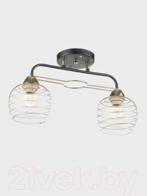 Потолочный светильник Aitin-Pro НПБ 02-2х60-101 / 6004/2