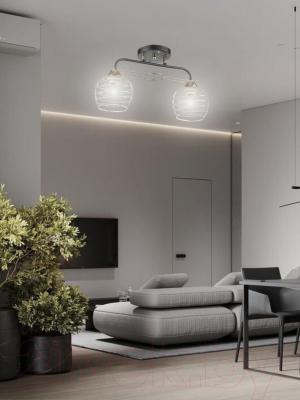 Потолочный светильник Aitin-Pro НПБ 02-2х60-101 / 6004/2