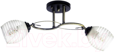 Потолочный светильник Aitin-Pro НПБ 02-2х60-101 / A3770/2 - фото