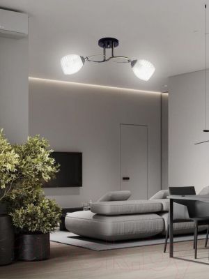 Потолочный светильник Aitin-Pro НПБ 02-2х60-101 / A3770/2