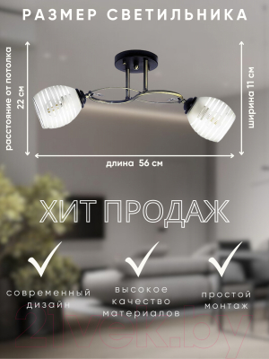 Потолочный светильник Aitin-Pro НПБ 02-2х60-101 / A3770/2