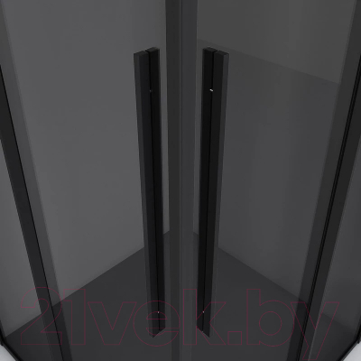 Душевой уголок Niagara NG-2822-34BLACK 80x80x195