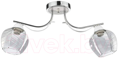 Потолочный светильник Aitin-Pro НПБ 02-2х60-102 / 6031/2 - фото