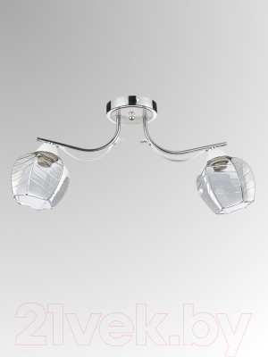 Потолочный светильник Aitin-Pro НПБ 02-2х60-102 / 6031/2