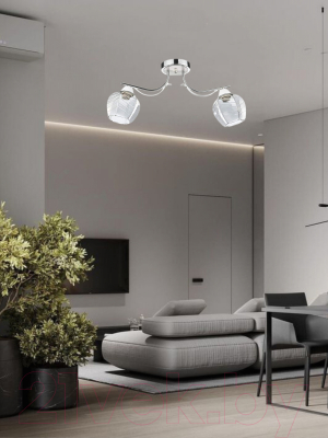 Потолочный светильник Aitin-Pro НПБ 02-2х60-102 / 6031/2