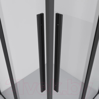 Душевой уголок Niagara NG-6822-34BLACK 80x80x195