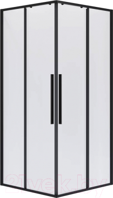 Душевой уголок Niagara NG-6824-34BLACK 100x100x195 - фото