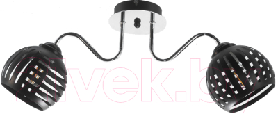 Потолочный светильник Aitin-Pro НПБ 02-2x60-102 / 70015/2 - фото