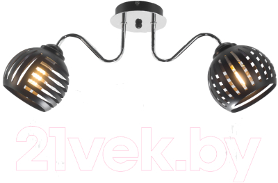 Потолочный светильник Aitin-Pro НПБ 02-2x60-102 / 70015/2