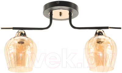 Потолочный светильник Aitin-Pro НПБ 02-2x60-102 / 9085/2 - фото