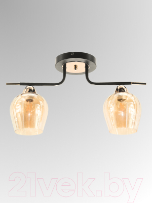 Потолочный светильник Aitin-Pro НПБ 02-2x60-102 / 9085/2