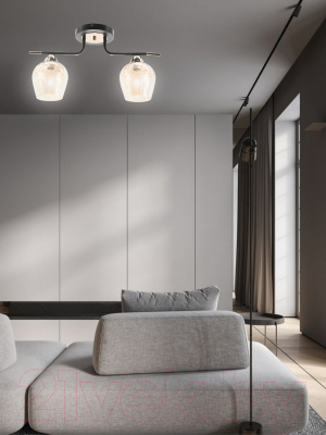 Потолочный светильник Aitin-Pro НПБ 02-2x60-102 / 9085/2