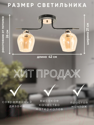 Потолочный светильник Aitin-Pro НПБ 02-2x60-102 / 9085/2
