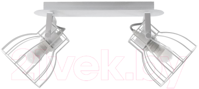 Потолочный светильник Aitin-Pro НПБ 02-2x60-102 / P8544/2 - фото