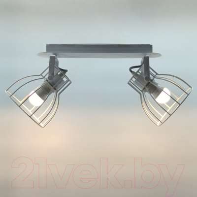 Потолочный светильник Aitin-Pro НПБ 02-2x60-102 / P8544/2