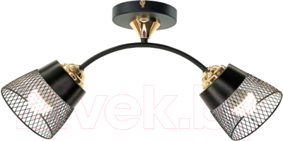 Потолочный светильник Aitin-Pro НПБ 02-2x60-102 / XA1539/2 - фото