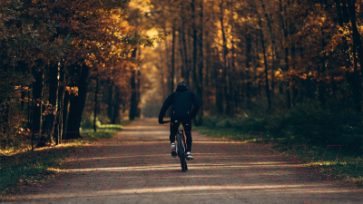 Велосипед Format 1415 29 2023 / RBK23FM29394