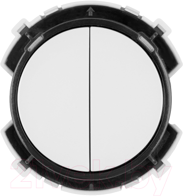 Выключатель TDM Байкал / SQ1819-0024 - фото