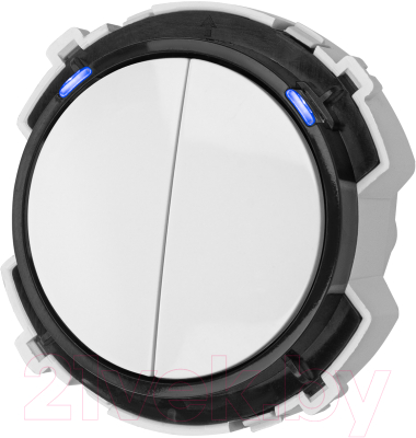 Выключатель TDM Байкал / SQ1819-0024