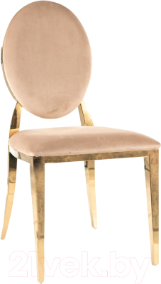 Стул Signal King - фото