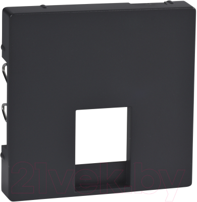 Лицевая панель для розетки Schneider Electric Merten MTN463514 - фото