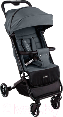 Детская прогулочная коляска Amarobaby Route / AB23-10ROUTE/10 - фото