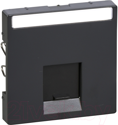 Лицевая панель для розетки Schneider Electric Merten MTN465814 - фото