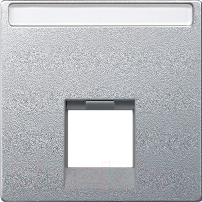 Лицевая панель для розетки Schneider Electric Merten MTN465860 - фото