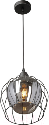 Потолочный светильник Vitaluce V2859-1/1S - фото