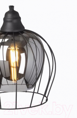 Потолочный светильник Vitaluce V2859-1/1S