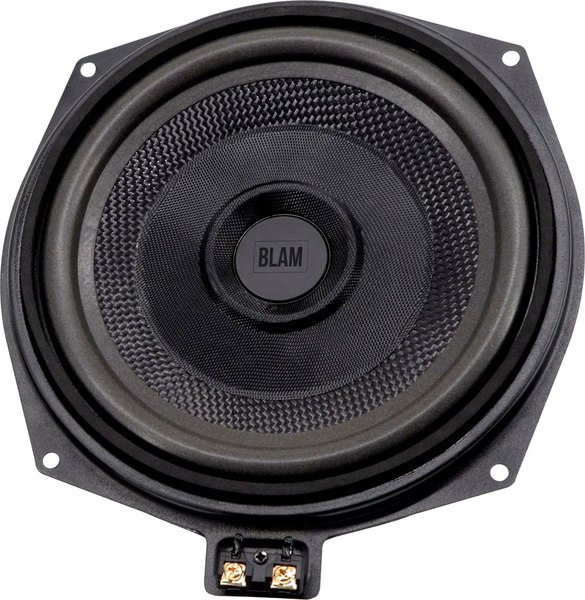 Головка сабвуфера BLAM ВМ 200WN - фото