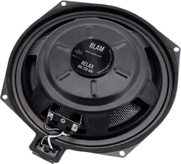 Головка сабвуфера BLAM ВМ 200WN