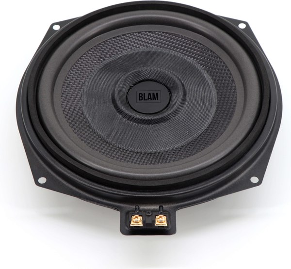 Головка сабвуфера BLAM ВМ 200WN