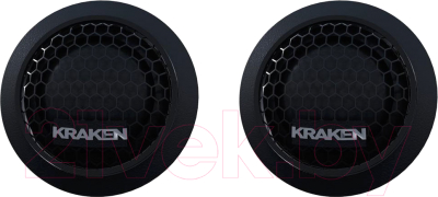 Компонентная АС Prology RX-25S - фото