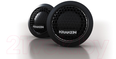 Компонентная АС Prology RX-25S