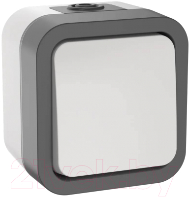 Выключатель IEK Tors TS-V16-0-10-55-K41 - фото