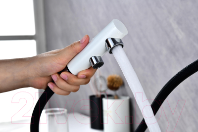 Смеситель Paulmark Serpentine Se213222-431