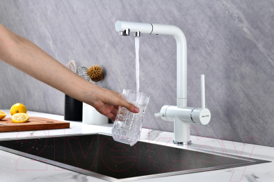 Смеситель Paulmark Serpentine Se213222-431