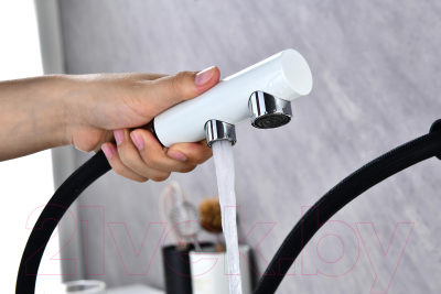 Смеситель Paulmark Serpentine Se213222-431