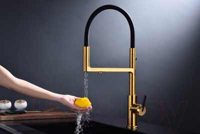 Смеситель Paulmark Tornado To213402-BG