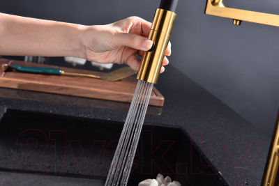 Смеситель Paulmark Tornado To213402-BG